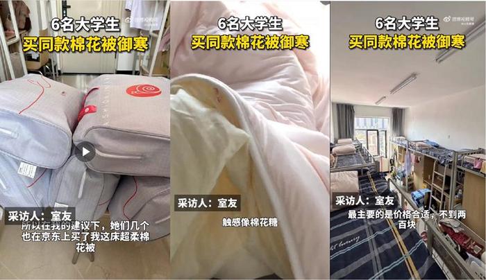 宿舍6名大学生购买同款棉花被御寒！京东11.11保暖冬被热销