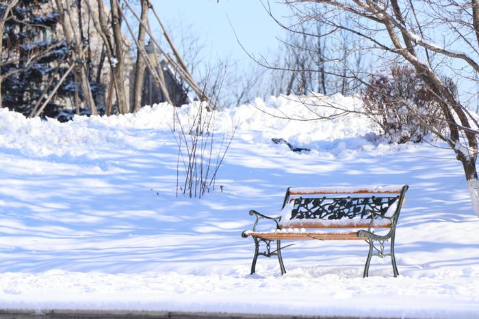 快来收藏！长春最美最静谧的初雪藏在这里