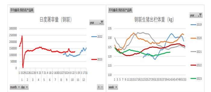 等待市场情绪企稳 生猪期货价格或延续底部震荡