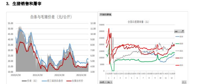 等待市场情绪企稳 生猪期货价格或延续底部震荡