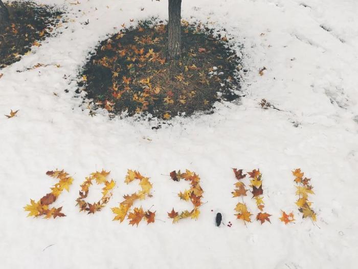 快来收藏！长春最美最静谧的初雪藏在这里