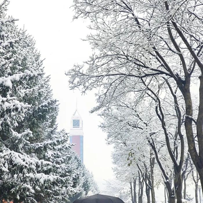 快来收藏！长春最美最静谧的初雪藏在这里