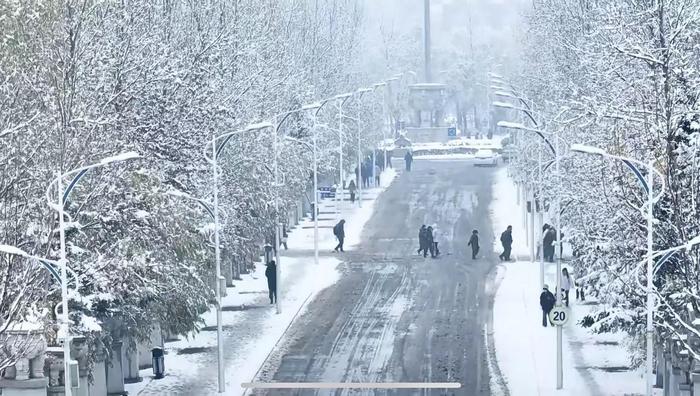 快来收藏！长春最美最静谧的初雪藏在这里