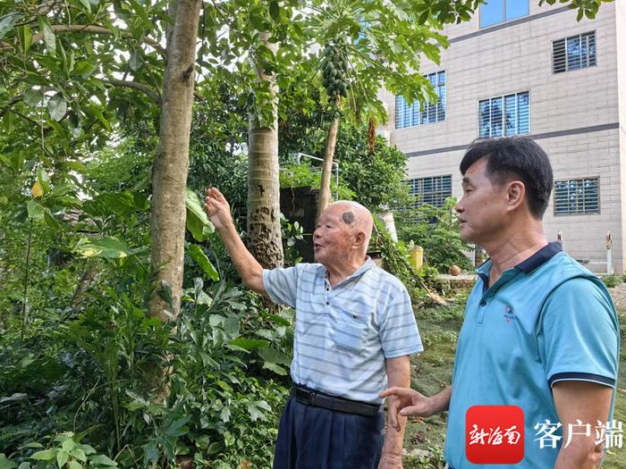 感动海南·回访丨屯昌郑道锦嘱咐儿子：南药药材种类不够 再去多找些回来