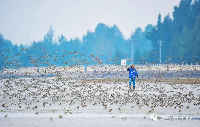 《人民日报》刊发整版文章报道防城港：实干笃行 奋力谱写高质量发展新篇章