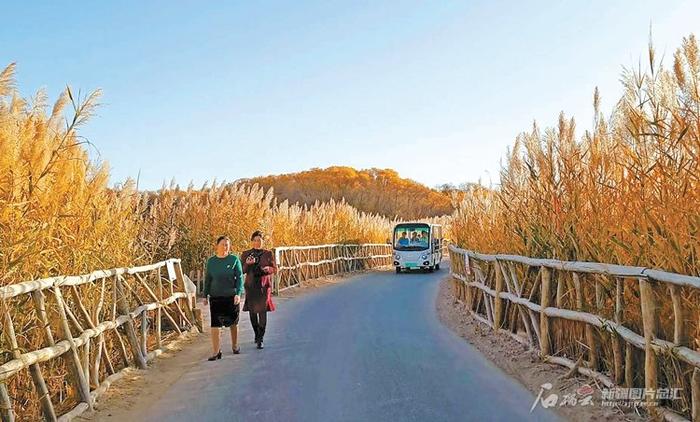 “王牌”如何变“金牌”——来自新疆最南端的旅游业发展观察