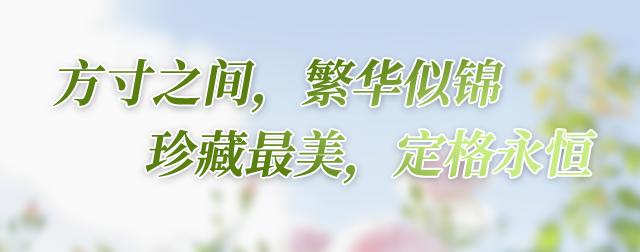 会员俱乐部 | 中铁信托举办“芬芳永伴·爱意永恒”客户尊享活动