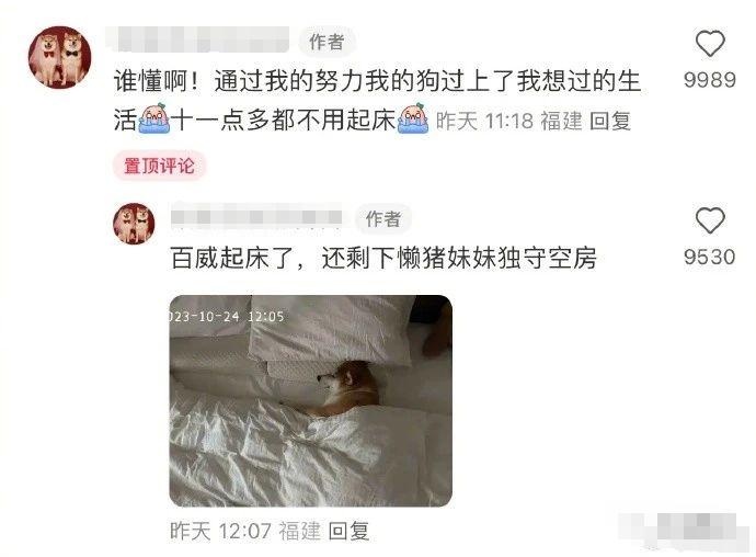 发现了一个糊弄简历的新思路哈哈哈哈！PS：今年秋招的大学生别看