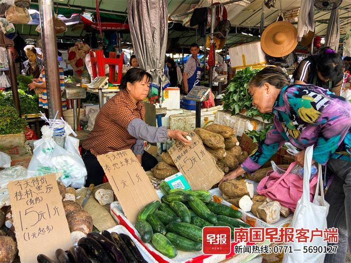 南宁蔬菜上市量增多， 价格持续回落！降幅最大的是……