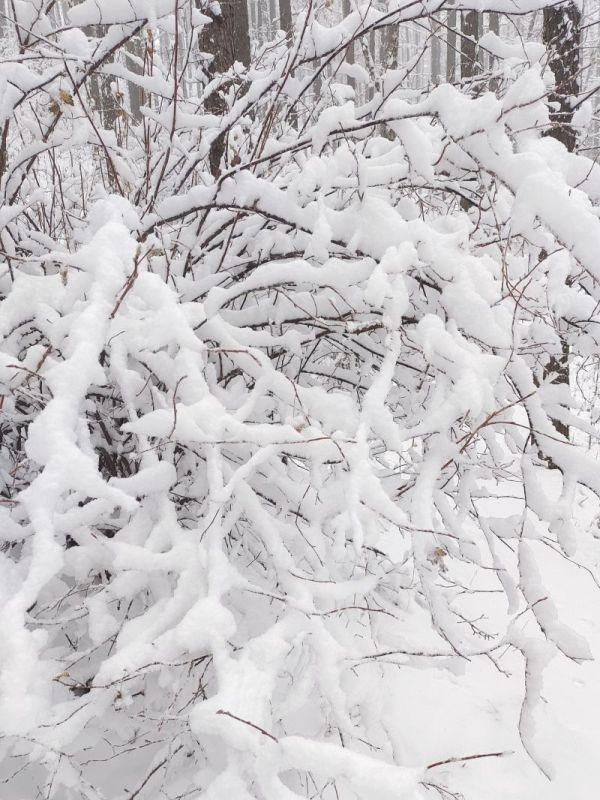 石家庄驼梁迎来临冬初雪！河北大范围雨雪开始，持续至……