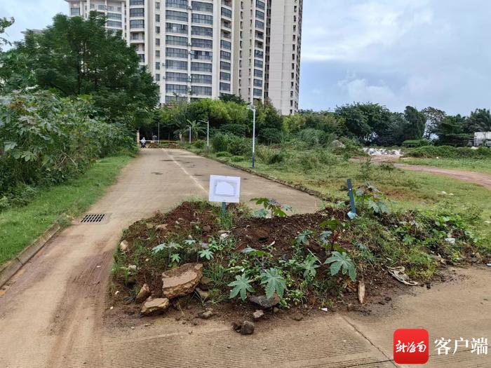 问政海南丨澄迈老城一小区门口道路一年多四次遭堵 相关部门：正积极调解矛盾