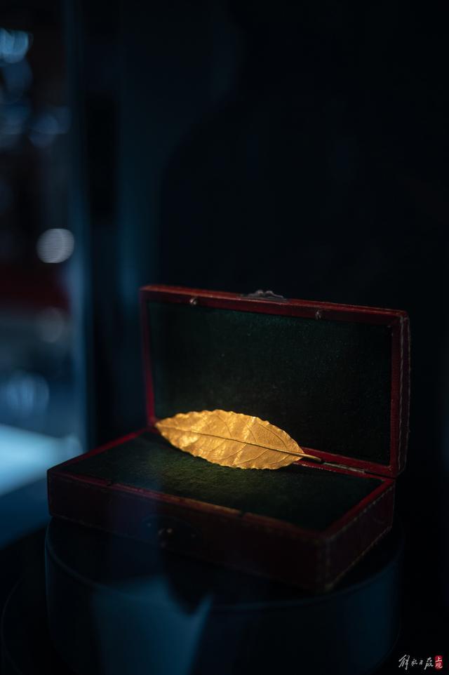 棋盘格间，中国珠宝品牌再度亮相进博会，展示传世珠宝作品