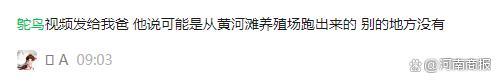 郑州早高峰鸵鸟狂奔，三个支队交警狂追，最新消息来了……