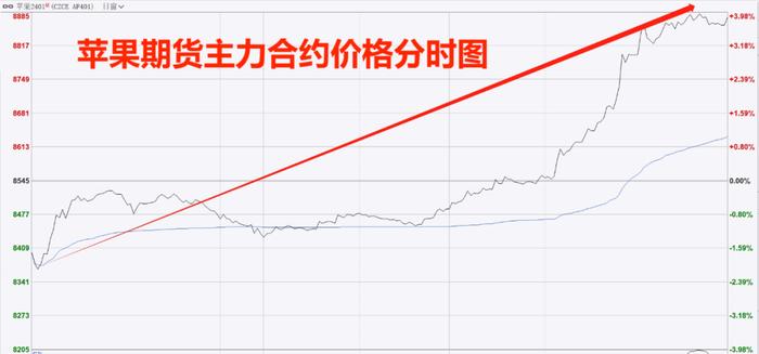 旱地拔葱！苹果期货缘何大涨500余点？