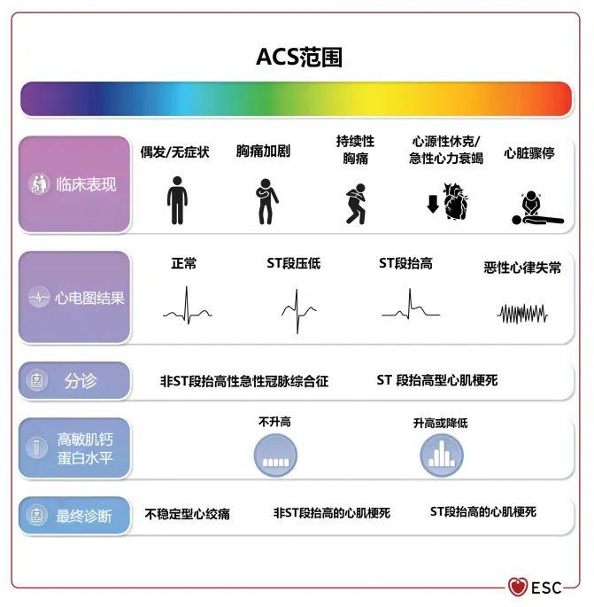 2023 ESC急性冠脉综合征管理指南要点提炼|高敏心肌肌钙蛋白在心肌梗死诊断中的应用价值