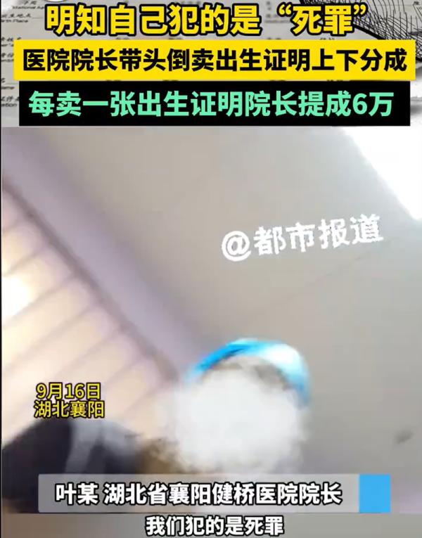 12年前就被判刑，她如何当上院长、倒卖出生证的？