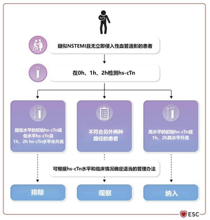 2023 ESC急性冠脉综合征管理指南要点提炼|高敏心肌肌钙蛋白在心肌梗死诊断中的应用价值