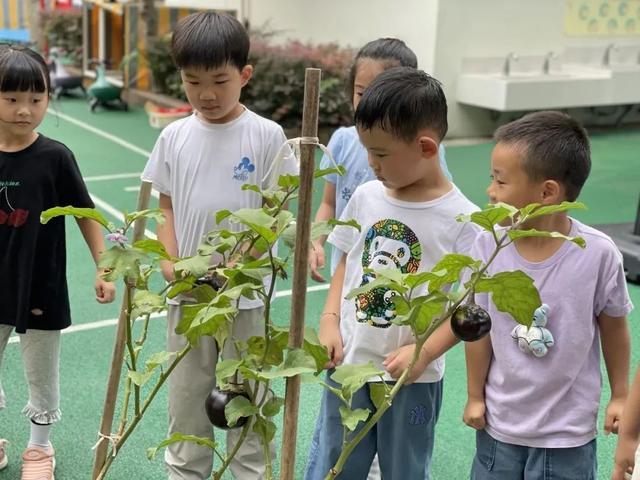 谁说魔都没有秋天？他们用“小眼睛”发现“秋姑娘”就在身边