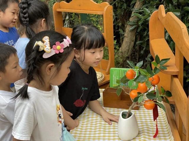 谁说魔都没有秋天？他们用“小眼睛”发现“秋姑娘”就在身边