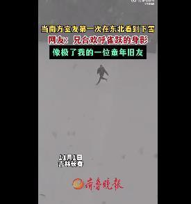 热闻｜南方女生穿泳装在北方的雪地里打滚玩耍！网友：真“虎”啊