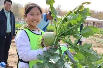 体验农耕之乐 北青报教育圆桌—芸山农业研究基地小记者站揭牌