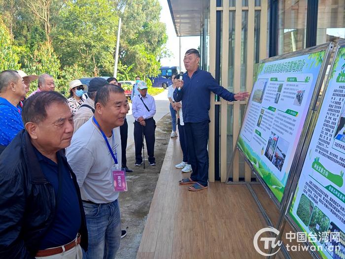 台湾农业专家在北海甜瓜繁育基地竖起大拇指 期盼两岸深度合作