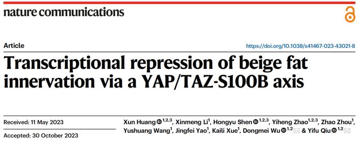 Nat. Commun. | 邱义福团队发现YAP/TAZ调控脂肪组织交感神经分布