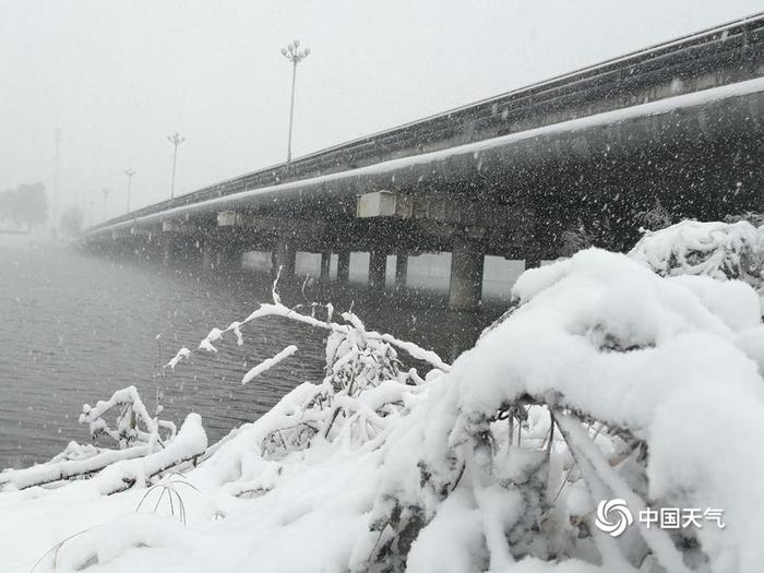 热闻｜南方女生穿泳装在北方的雪地里打滚玩耍！网友：真“虎”啊