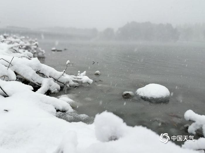 热闻｜南方女生穿泳装在北方的雪地里打滚玩耍！网友：真“虎”啊