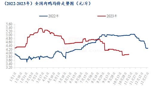 Mysteel解读：白羽肉鸭触底反弹，经销备货积极