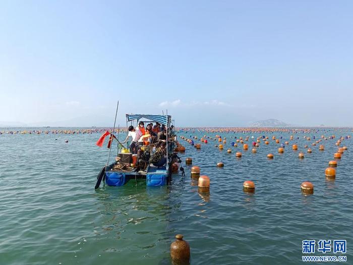 乘风破浪 广东向“海”要电要粮要发展