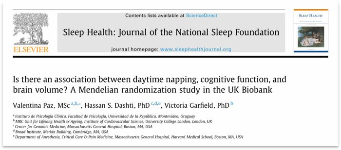 要想衰老慢，午睡不可少！近40万人MR研究：有午睡习惯的人有更大的脑容量，相当于延缓衰老2.6-6.5岁