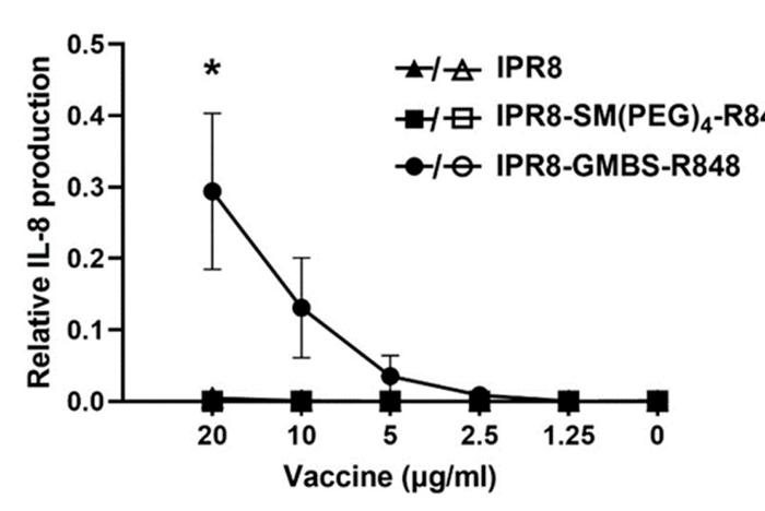 解析R848结合流感疫苗的偶联剂依赖效应：对APC激活及体内免疫原性，存在哪些影响？