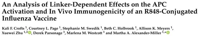 解析R848结合流感疫苗的偶联剂依赖效应：对APC激活及体内免疫原性，存在哪些影响？