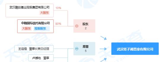 中融国际信托子公司武汉塔子湖置业有限公司商票逾期被公示