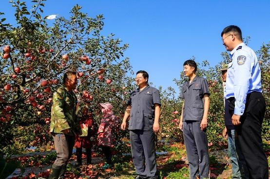 烟台法院：打造“握手烟和”诉源治理品牌