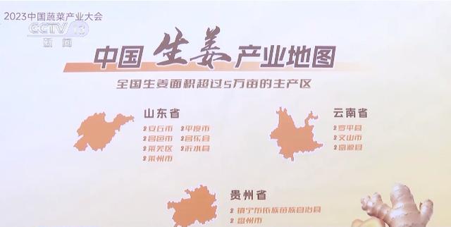 我国首次发布蔬菜产业地图 邯郸1地上榜