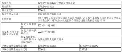 长城中小盘成长混合型证券投资基金恢复大额申购、转换转入、定期定额投资公告