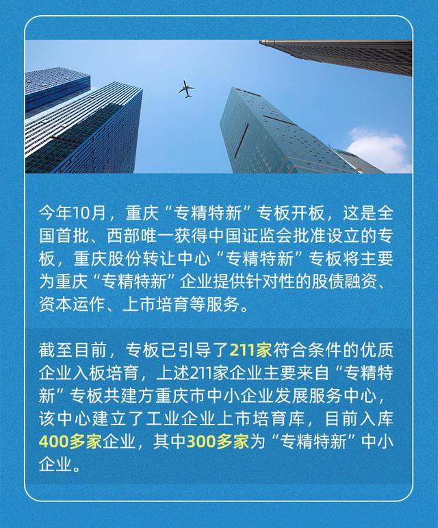聚焦专精特新｜SVG：在重庆，一家专精特新中小企业有多少“福利”？