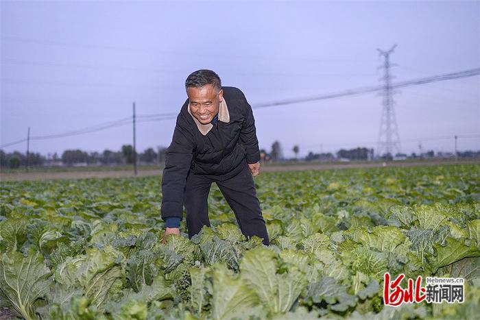 “总书记的关怀，让我们感觉很温暖”——在涿州市刁窝镇东冯村