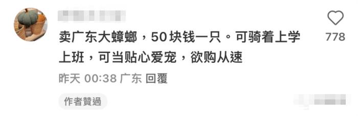 北方人对汤汁的最高评价：下面条肯定好吃！哈哈哈是谁又被真实到了