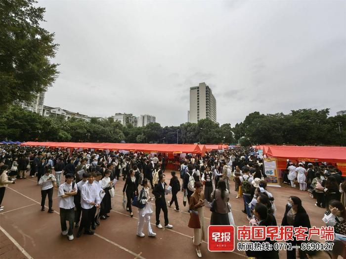 万名医学生竞争2.2万个岗位，有医院招护士最高要博士学位