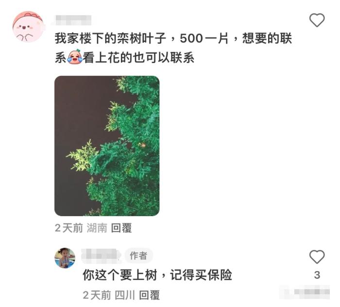 北方人对汤汁的最高评价：下面条肯定好吃！哈哈哈是谁又被真实到了