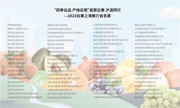 “四季云品 产地云南”高原云果 沪滇同行 2023云果上海推介会成功举办