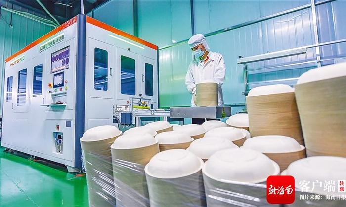 在海口市裕同环保科技有限公司,工作人员查看由甘蔗渣制成的一次性植物纤维包装产品。海南日报记者 袁琛 摄