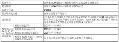 富国全球债券证券投资基金（QDII）暂停机构投资者通过代销机构的申购和定期定额投资业务的公告