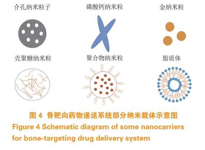独家原创 | 孙春萌教授：骨靶向药物递送系统研究进展