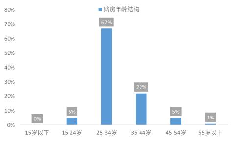 论债务【四】人口年龄结构和风险偏好