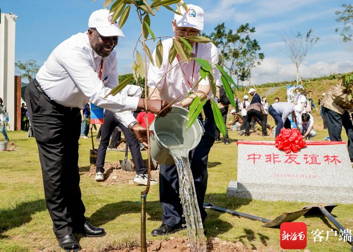 非洲代表在三亚“中非友谊林”种下友谊树苗