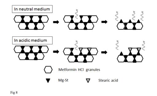 硬脂酸镁对片剂在酸性介质中溶出的延迟效应研究